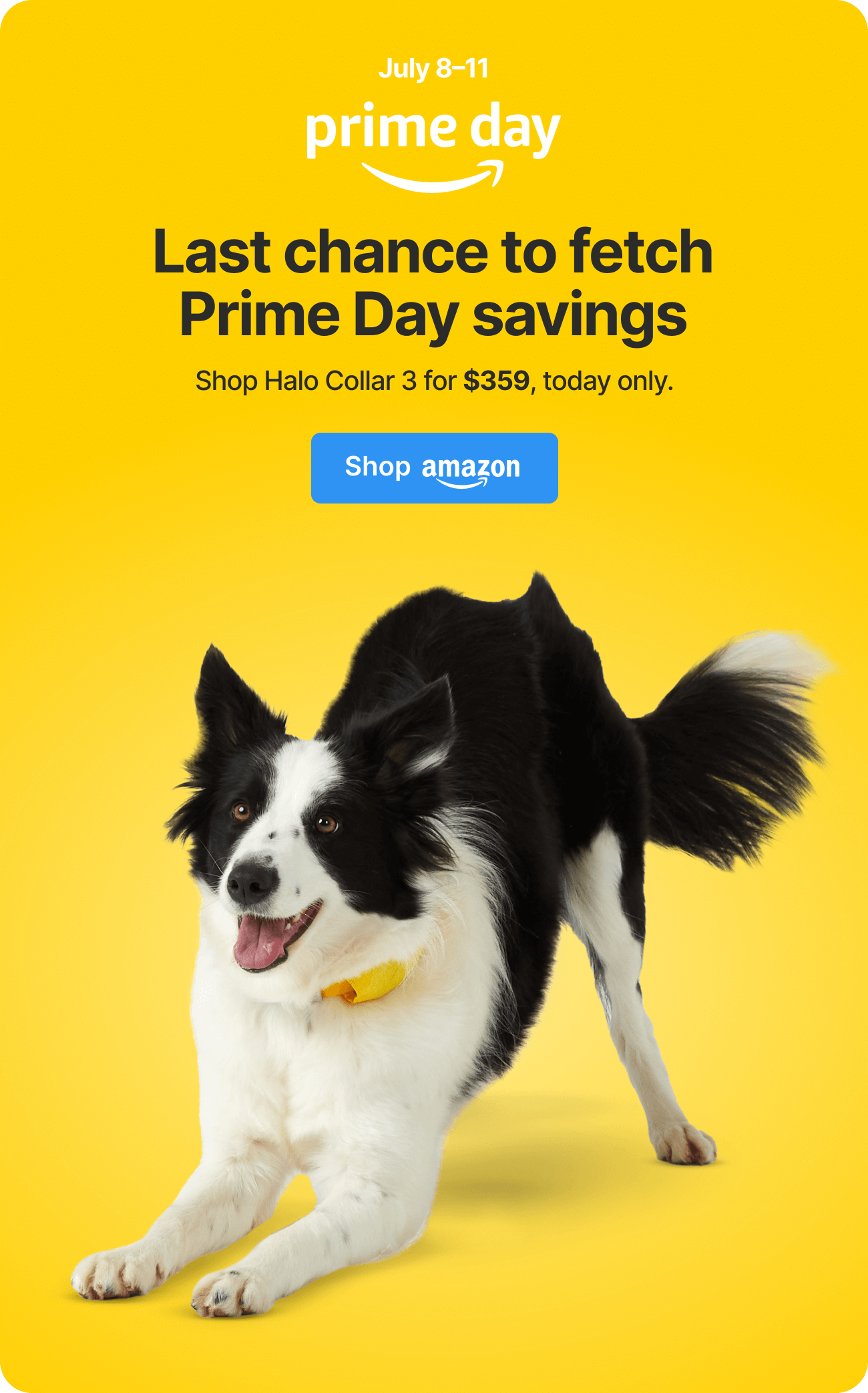 Halo Collar 3 at $359, ends today! Last chance to fetch Amazon Prime Day savings