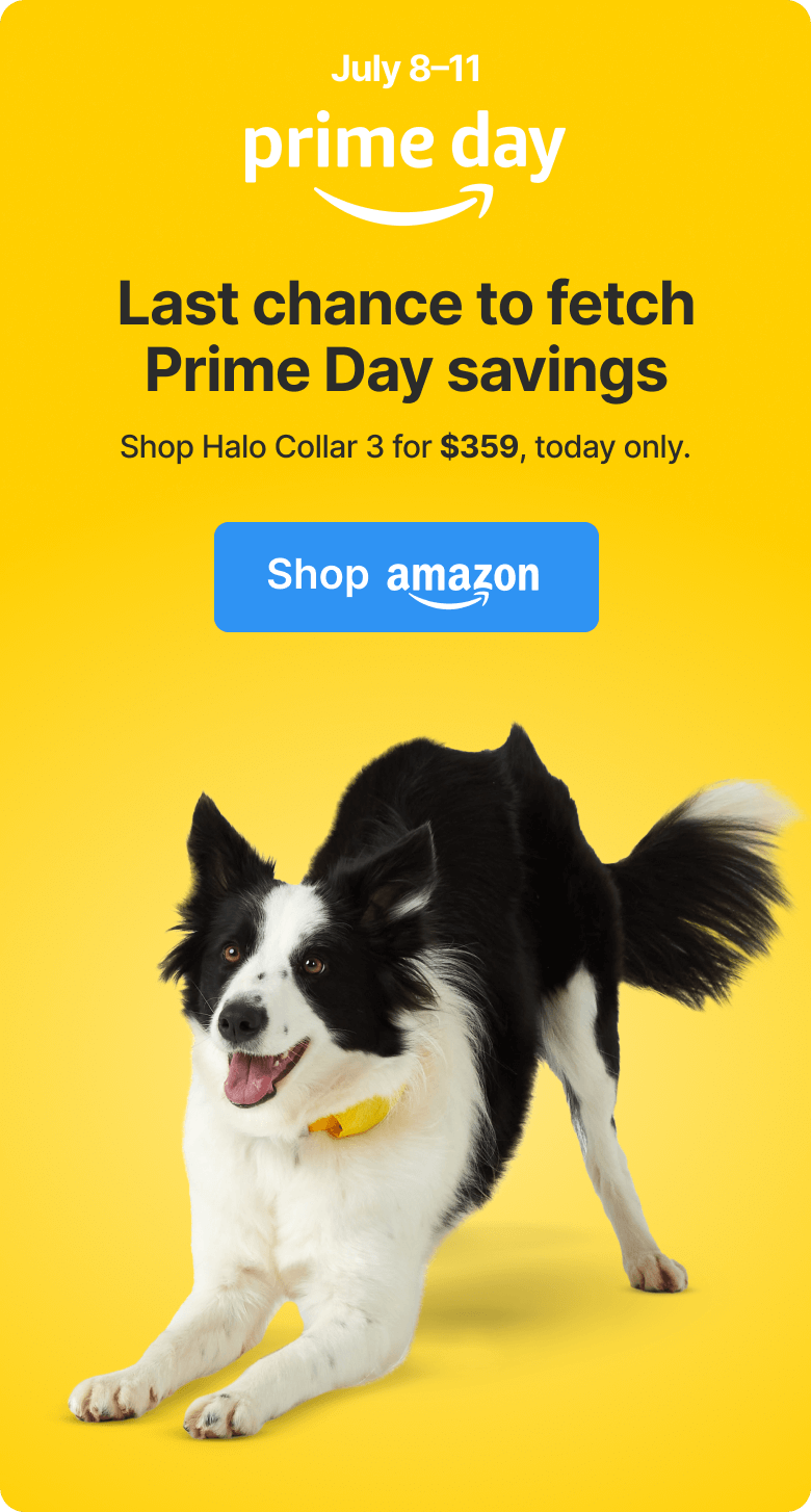 Halo Collar 3 at $359, ends today! Last chance to fetch Amazon Prime Day savings