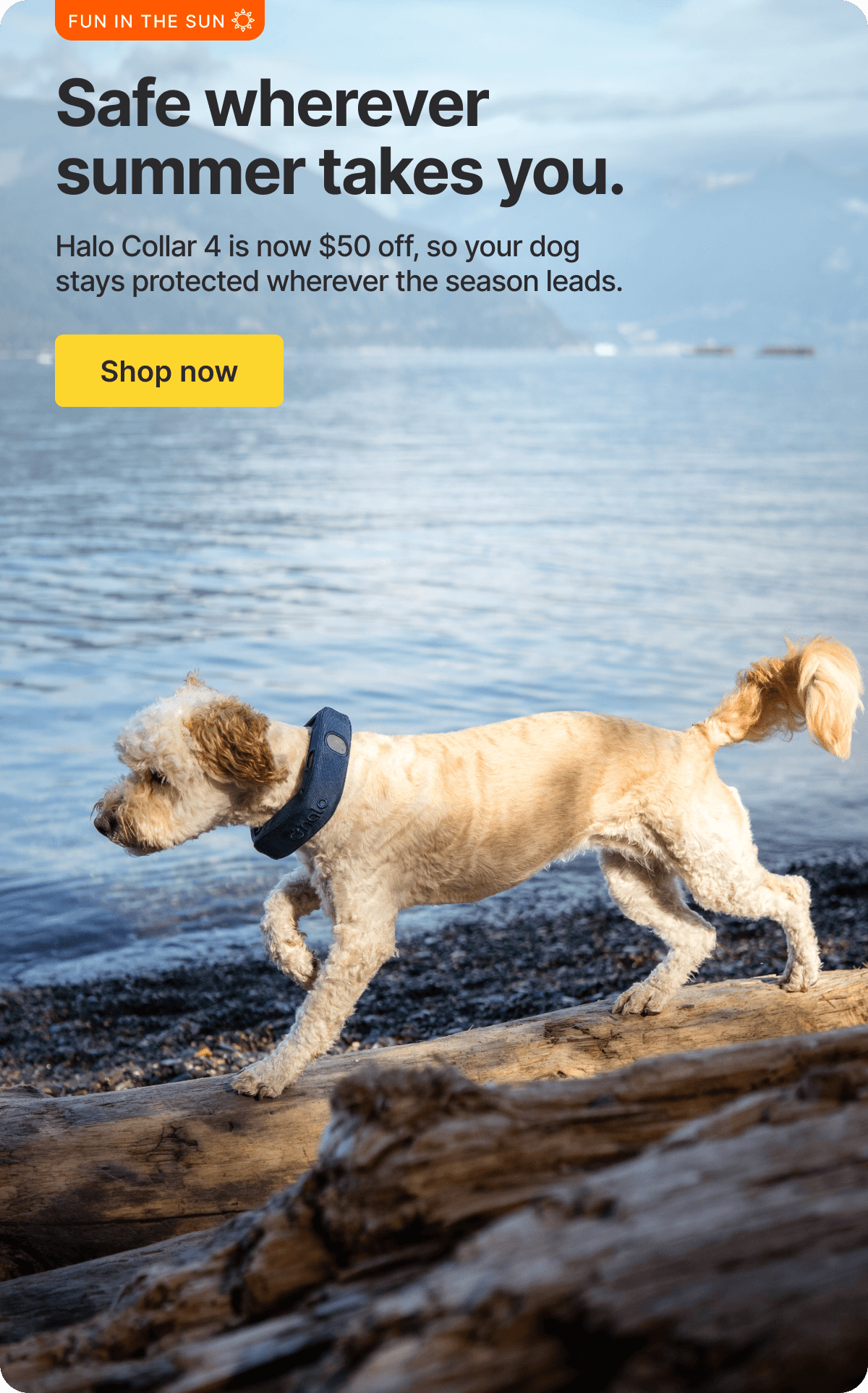 Keep your dog protected this summer season. Halo Collar 4 is now $50 off, so your dog stays protected wherever the season leads.