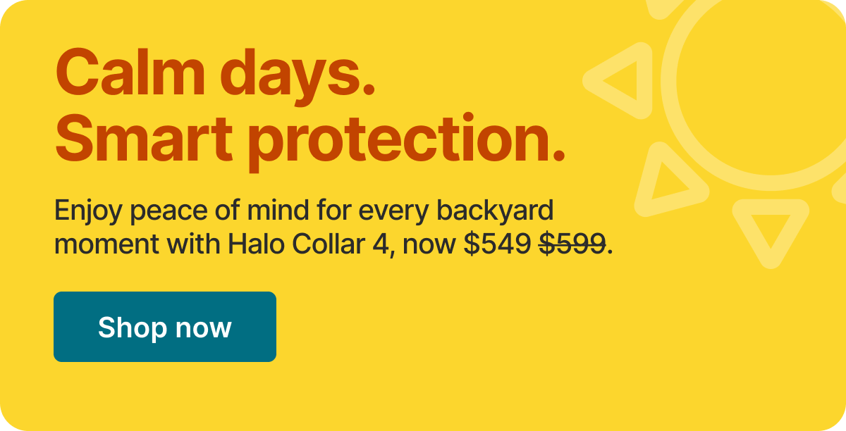 Give your dog a summer of freedom. Enjoy peace of mind for every backyard moment with the protection of Halo Collar 4, now $549.