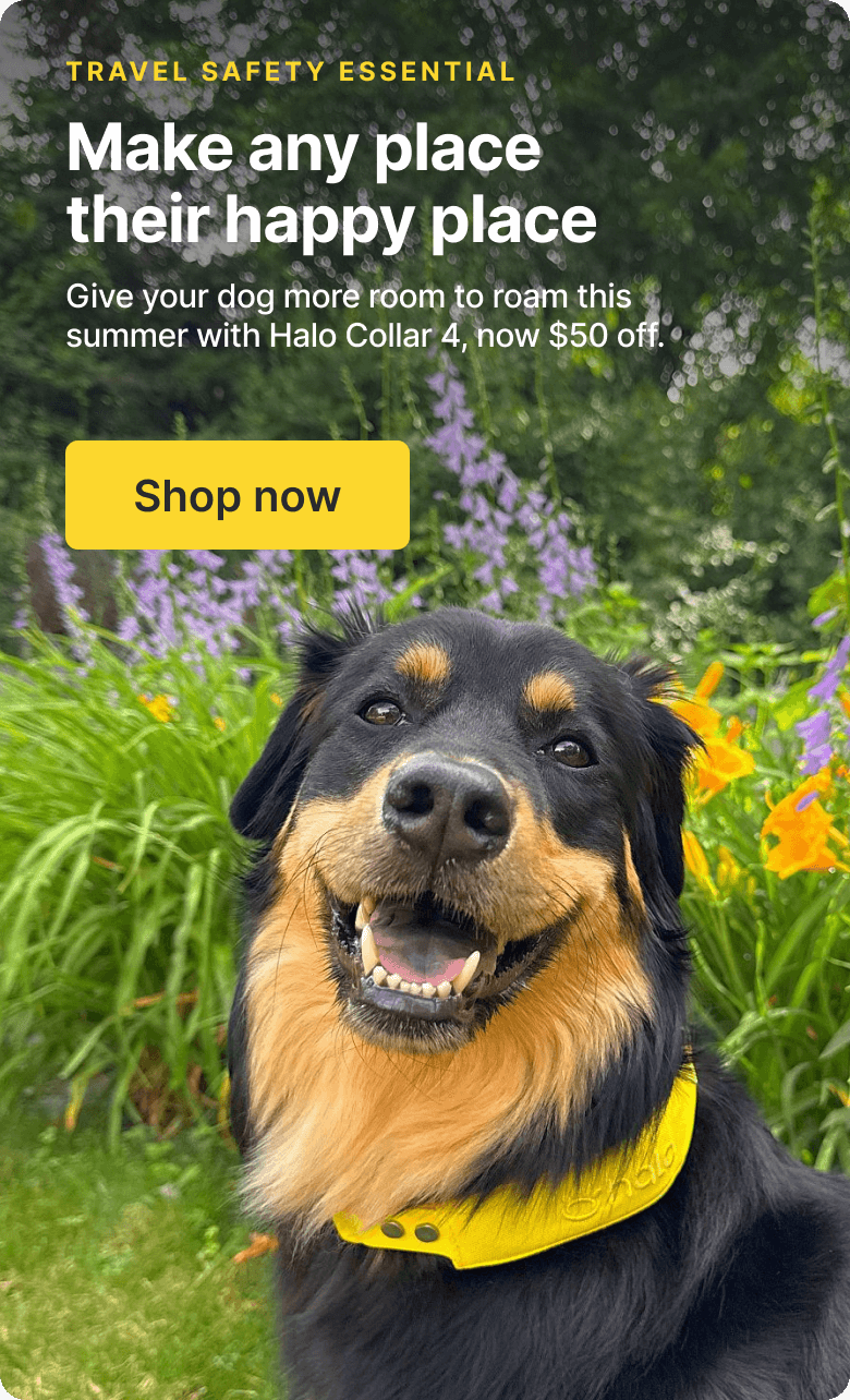 The ultimate travel upgrade is now $50 off! Don't hit the road without Halo Collar 4. Set up fences anywhere and stay connected.
