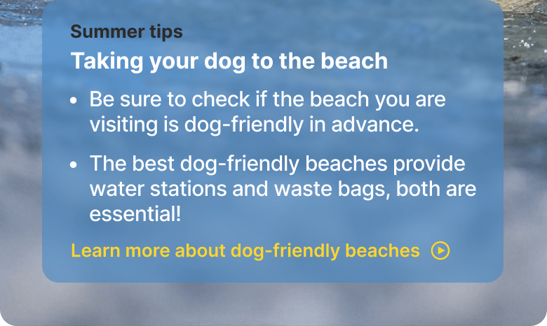 Summer tips. Taking your dog to the beach. - Be sure to check if the beach you are visiting is dog-friendly in advance. - The best dog-friendly beaches provide water stations and waste bags, both are essential! Learn more about dog-friendly beaches
