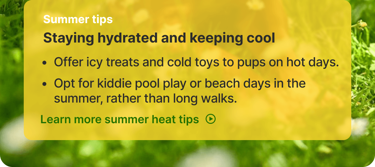 Summer tips. Staying hydrated and keeping cool. - Offer icy treats and cold toys to pups on hot days. - Opt for kiddie pool play or beach days in the summer, rather than long walks. Learn more summer heat tips