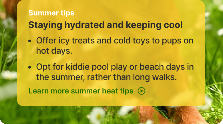 Summer tips. Staying hydrated and keeping cool. - Offer icy treats and cold toys to pups on hot days. - Opt for kiddie pool play or beach days in the summer, rather than long walks. Learn more summer heat tips
