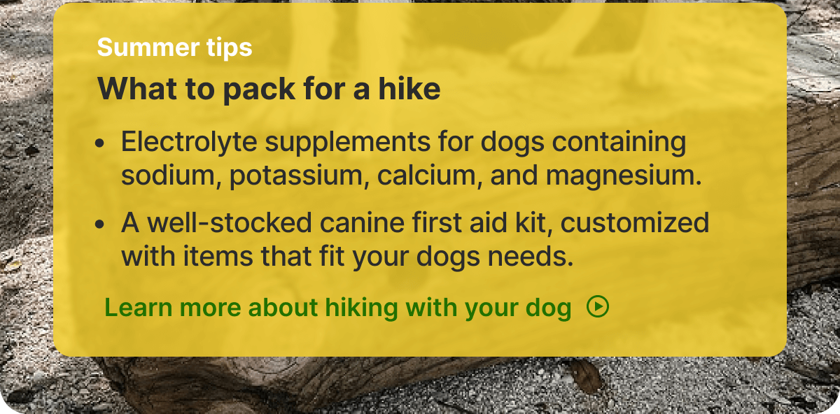 Summer tips. What to pack for a hike. - Electrolyte supplements for dogs containing sodium, potassium, calcium, and magnesium. - A well-stocked canine first aid kit, customized with items that fit your dogs needs. Learn more about hiking with your dog