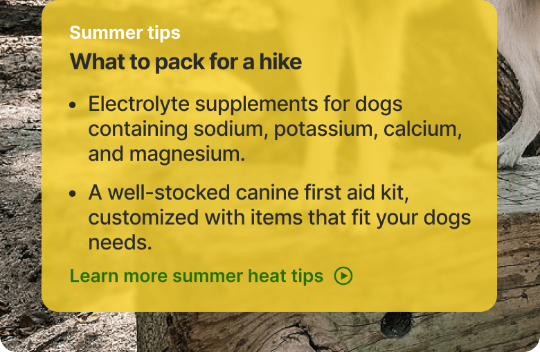 Summer tips. What to pack for a hike. - Electrolyte supplements for dogs containing sodium, potassium, calcium, and magnesium. - A well-stocked canine first aid kit, customized with items that fit your dogs needs. Learn more about hiking with your dog