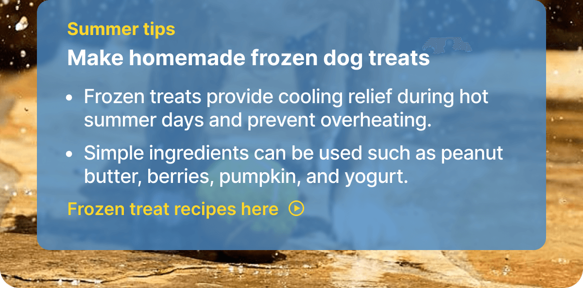 Summer tips. Make homemade frozen dog treats. - Frozen treats provide cooling relief during hot summer days and prevent overheating. - Simple ingredients can be used such as peanut butter, berries, pumpkin, and yogurt. Frozen treat recipes here