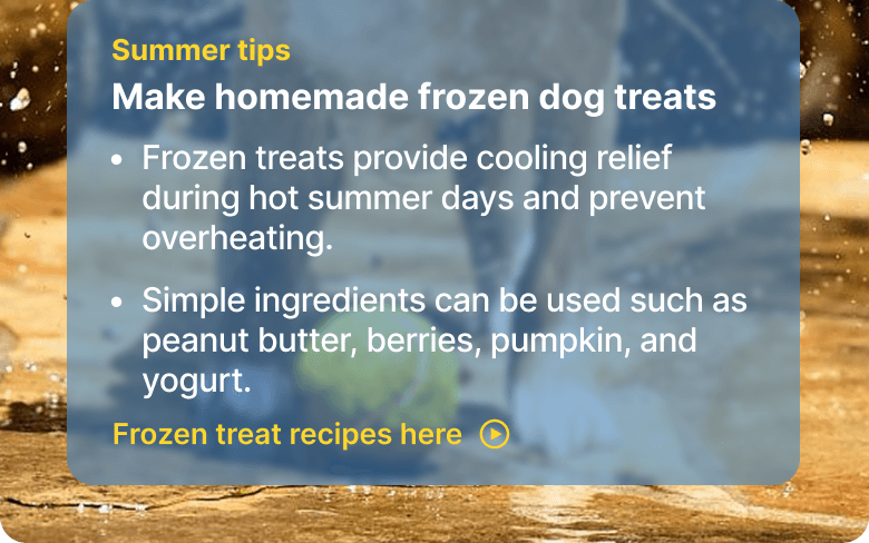 Summer tips. Make homemade frozen dog treats. - Frozen treats provide cooling relief during hot summer days and prevent overheating. - Simple ingredients can be used such as peanut butter, berries, pumpkin, and yogurt. Frozen treat recipes here