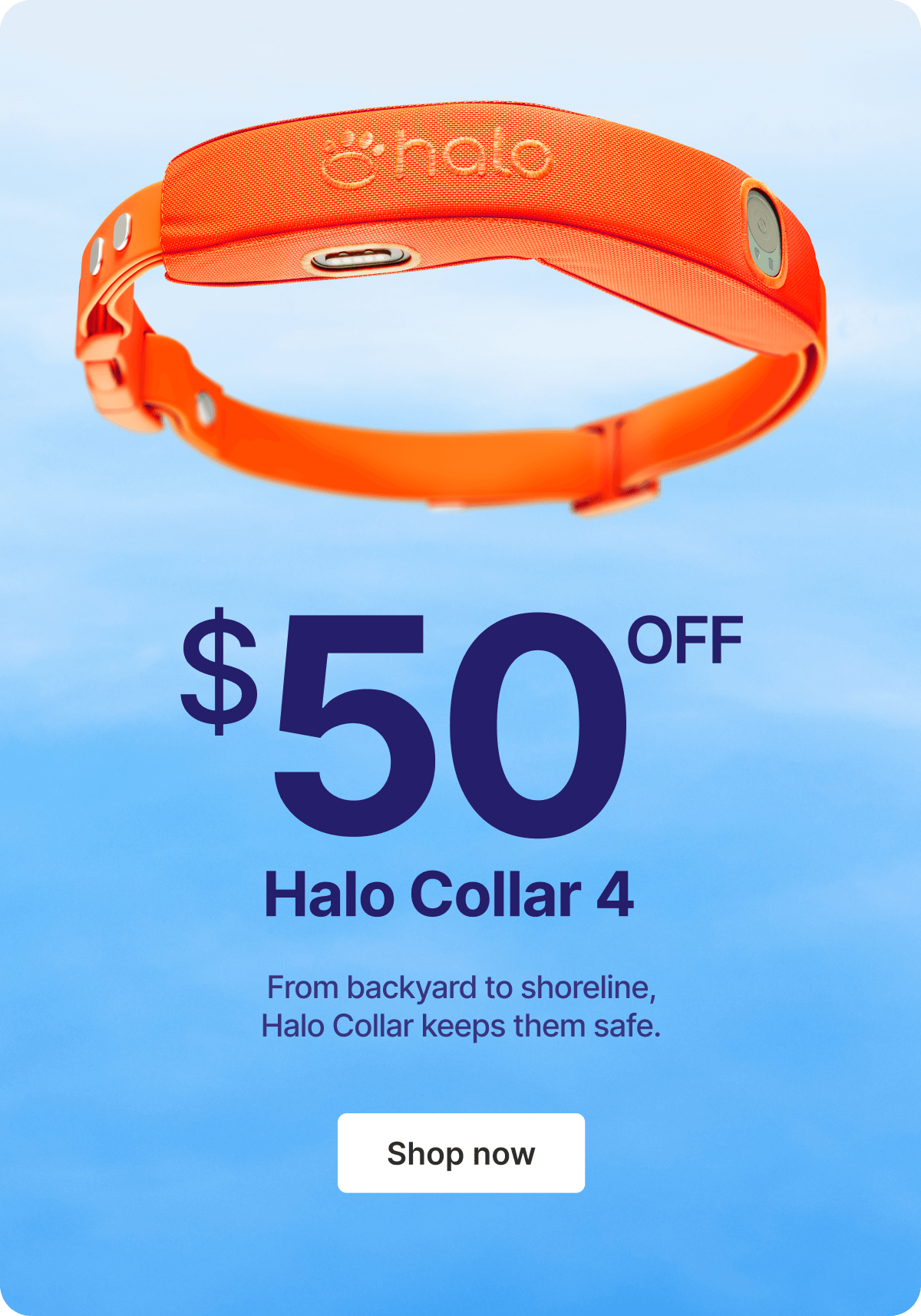 For dogs who want to go everywhere. From backyard to shoreline, Halo Collar keeps them safe.