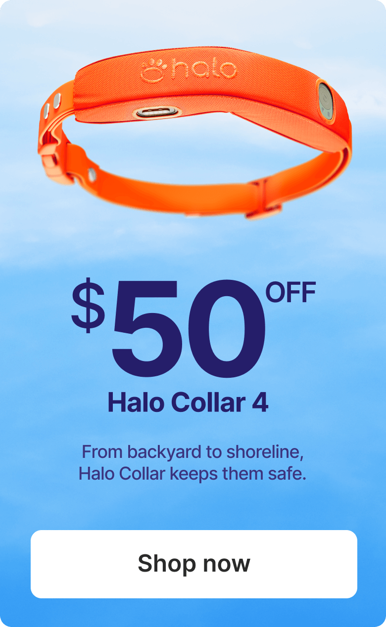 For dogs who want to go everywhere. From backyard to shoreline, Halo Collar keeps them safe.