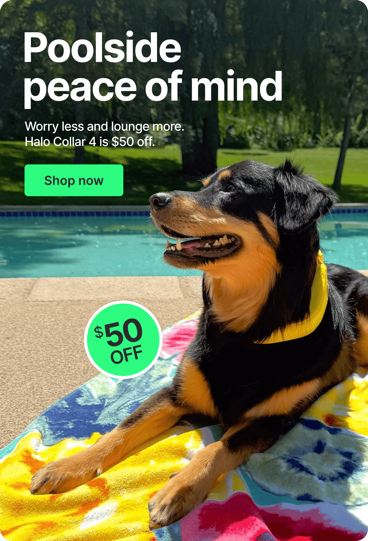 Worry less with $50 off Halo Collar 4. Halo ensures every adventure ends safely at home.