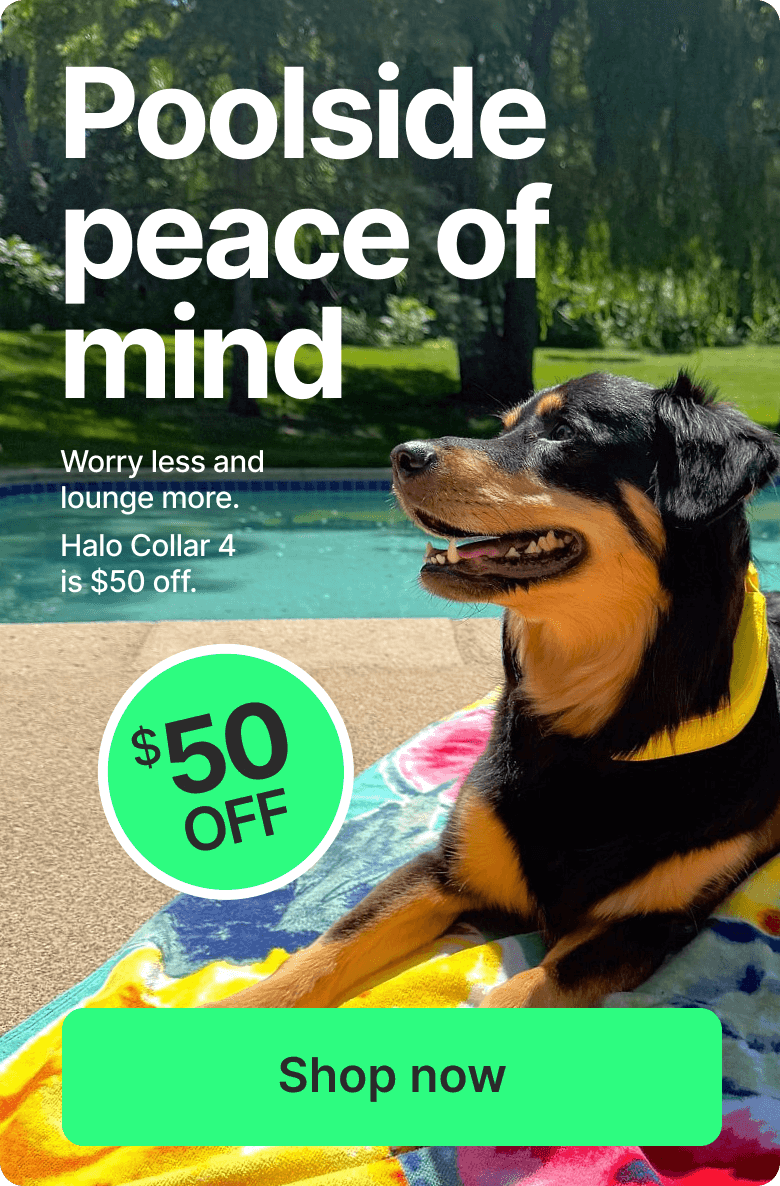 Worry less with $50 off Halo Collar 4. Halo ensures every adventure ends safely at home.
