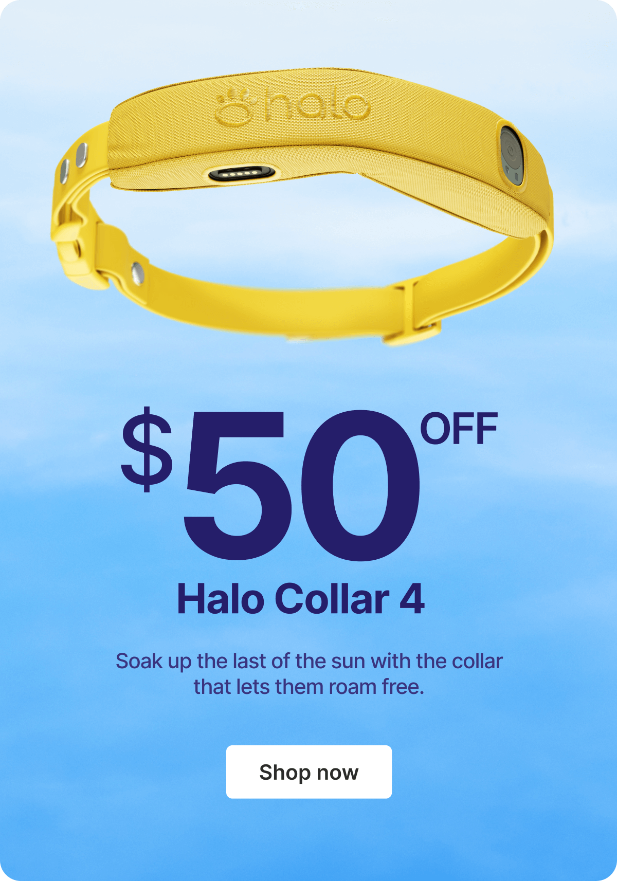Last call for $50 off summer savings! Soak up the last of the sun with the collar that lets them roam free.