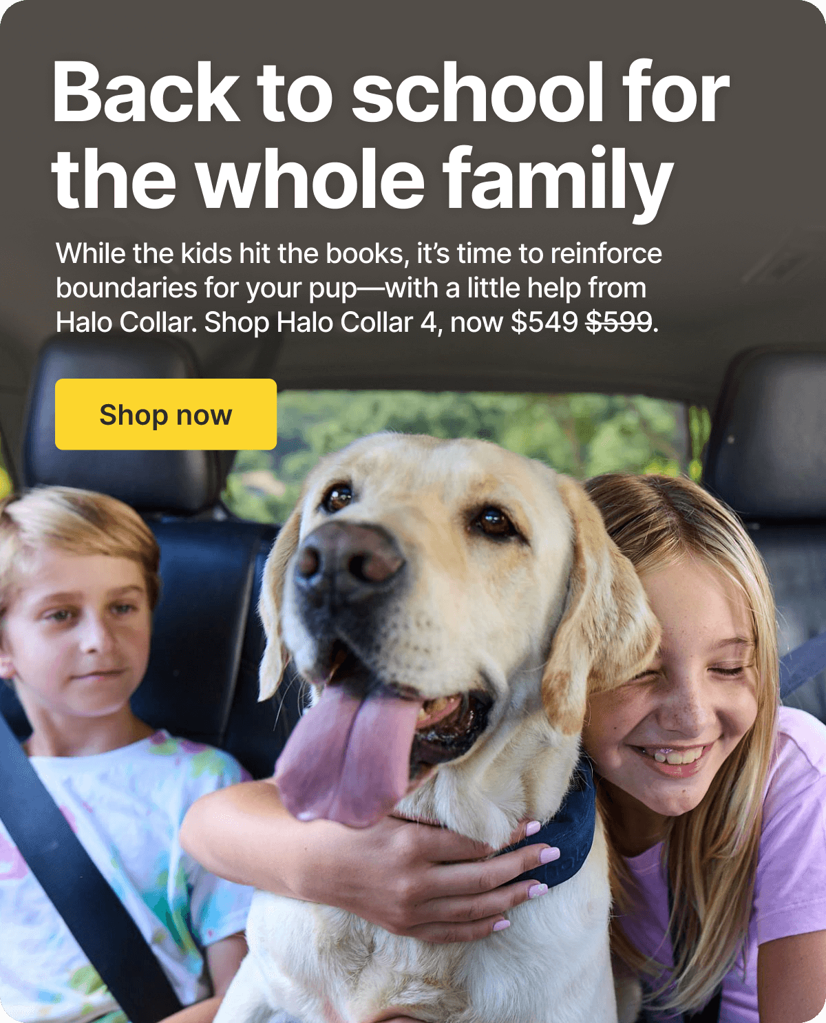 Out the door? Keep them protected at home. While the kids hit the books, it’s time to reinforce boundaries for your pup.