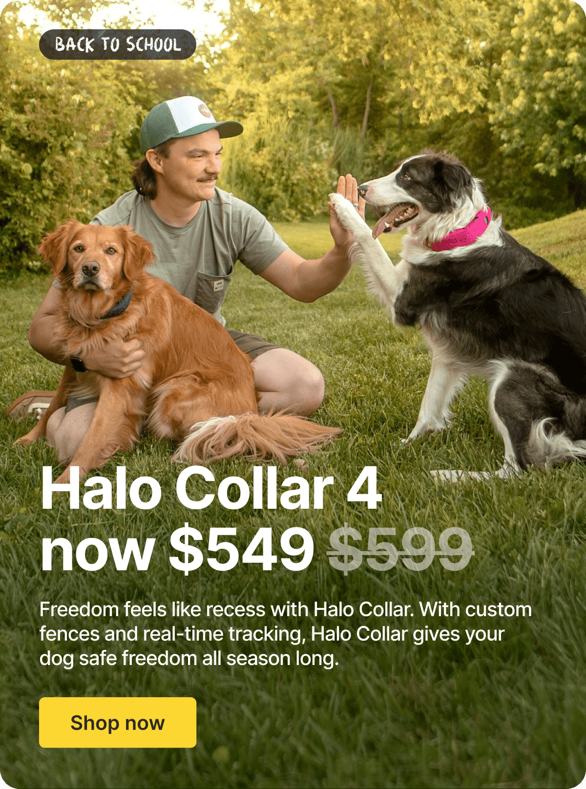 $50 off the Halo Collar 4. Made for new routines this back to school season.