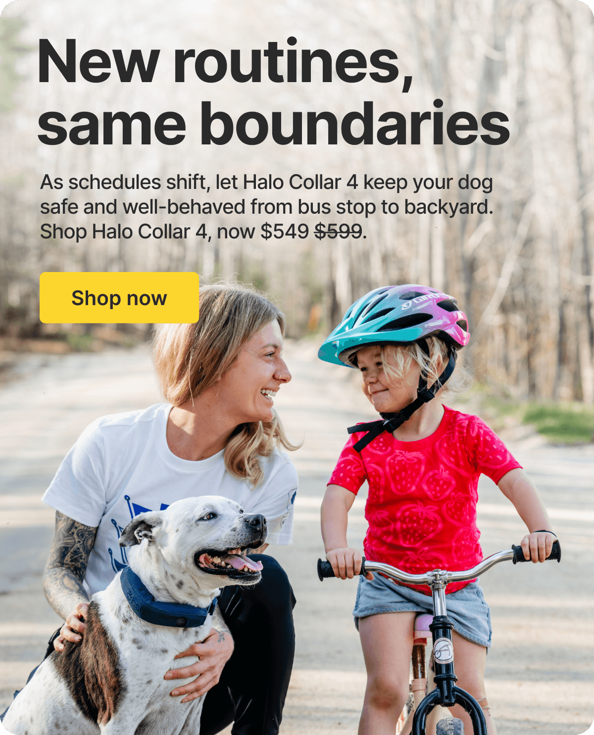 Get back on track and save $50. As schedules shift, let Halo Collar 4 keep your dog safe and well-behaved.