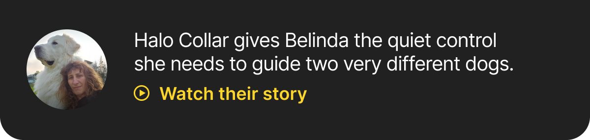 Watch their story