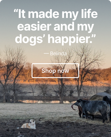Safe on every acre. Halo Collar 4 is $50 off. Meet two big dogs on an even bigger property.