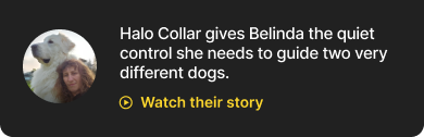 Watch their story