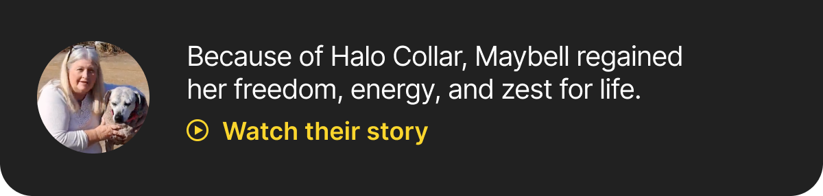 Watch their story