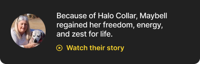 Watch their story