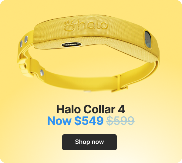 Halo Collar 4 $549. Shop now.