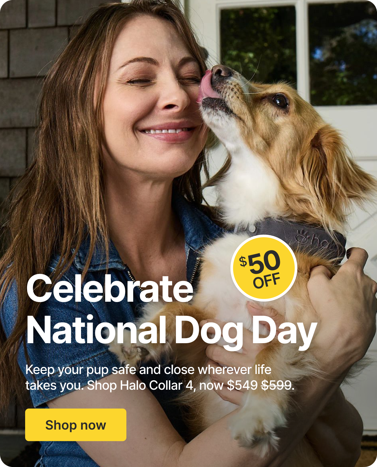 A special treat for you, on National Dog Day! With $50 off, your dog’s day just got even better