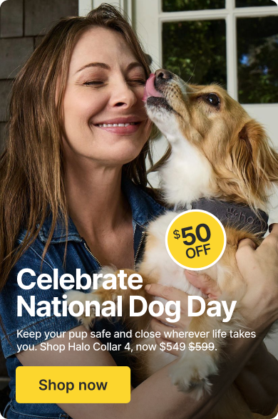 A special treat for you, on National Dog Day! With $50 off, your dog’s day just got even better
