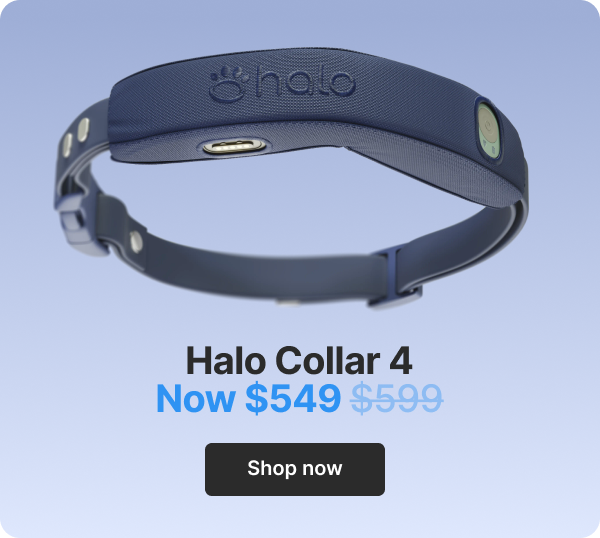 Halo Collar 4 $549. Shop now.