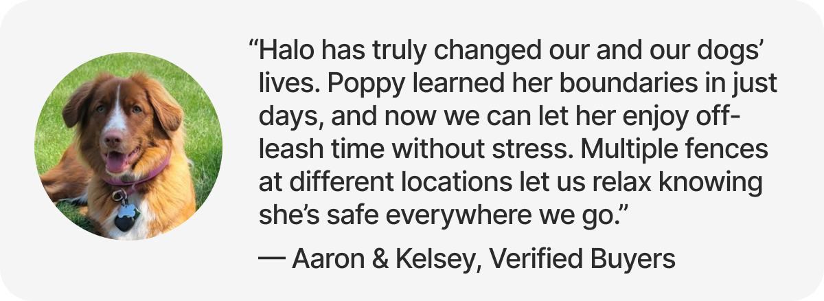 “Halo has truly changed our and our dogs’ lives. Poppy learned her boundaries in just days, and now we can let her enjoy off-leash time without stress. Multiple fences at different locations let us relax knowing she’s safe everywhere we go.” — Aaron & Kelsey, Verified Buyers