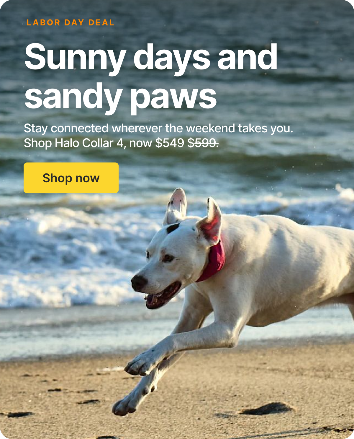 Outside days, made safer. Get $50 off! Stay connected wherever the weekend takes you. 