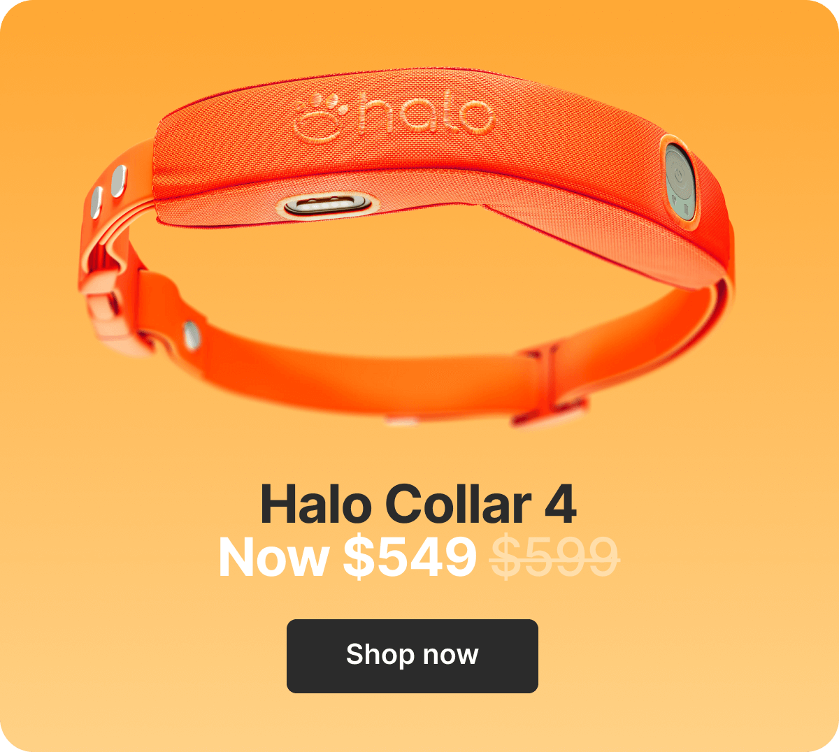 Halo Collar 4. Now $549. Shop now.