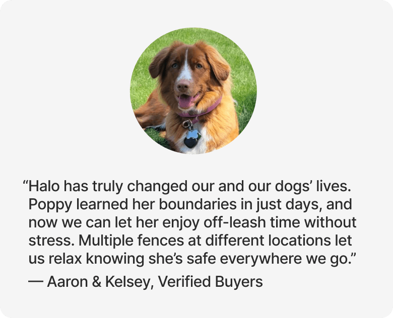 “Halo has truly changed our and our dogs’ lives. Poppy learned her boundaries in just days, and now we can let her enjoy off-leash time without stress. Multiple fences at different locations let us relax knowing she’s safe everywhere we go.” — Aaron & Kelsey, Verified Buyers
