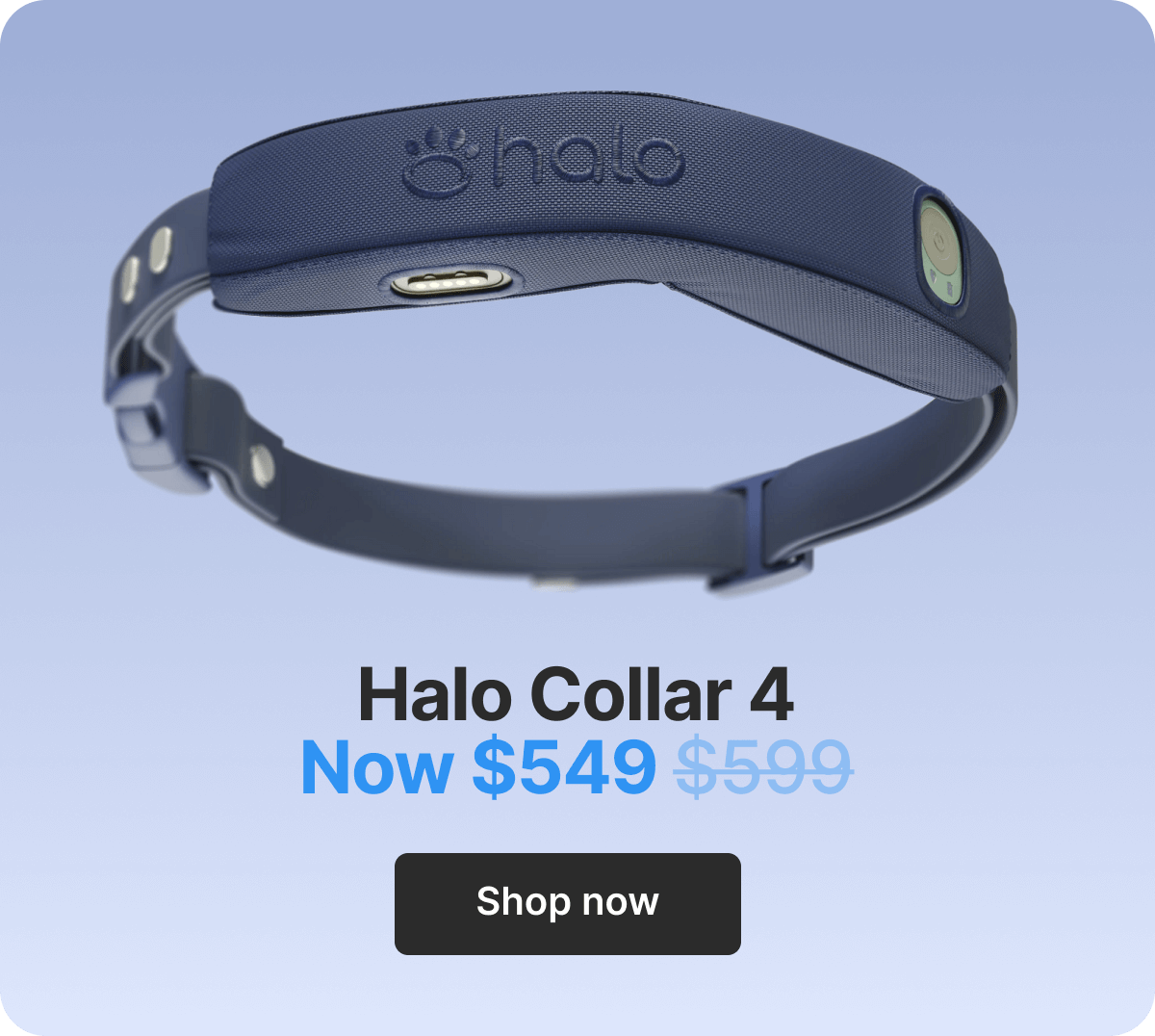 Halo Collar 4. Now $549. Shop now.