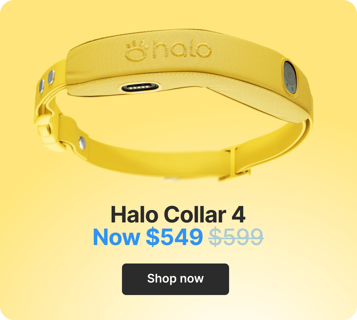 Halo Collar 4. Now $549. Shop now.