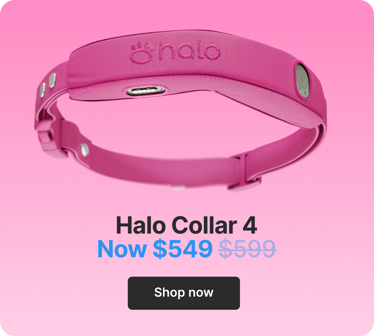 Halo Collar 4. Now $549. Shop now.
