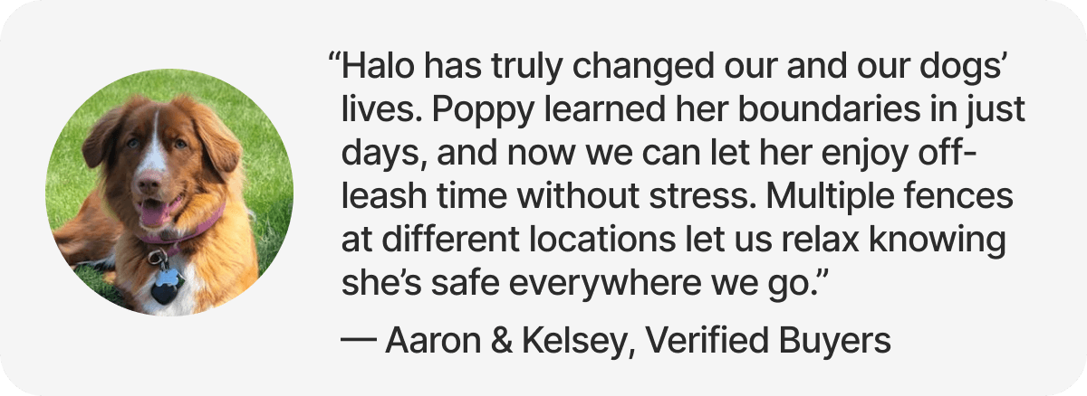 “Halo has truly changed our and our dogs’ lives. Poppy learned her boundaries in just days, and now we can let her enjoy off-leash time without stress. Multiple fences at different locations let us relax knowing she’s safe everywhere we go.” — Aaron & Kelsey, Verified Buyers