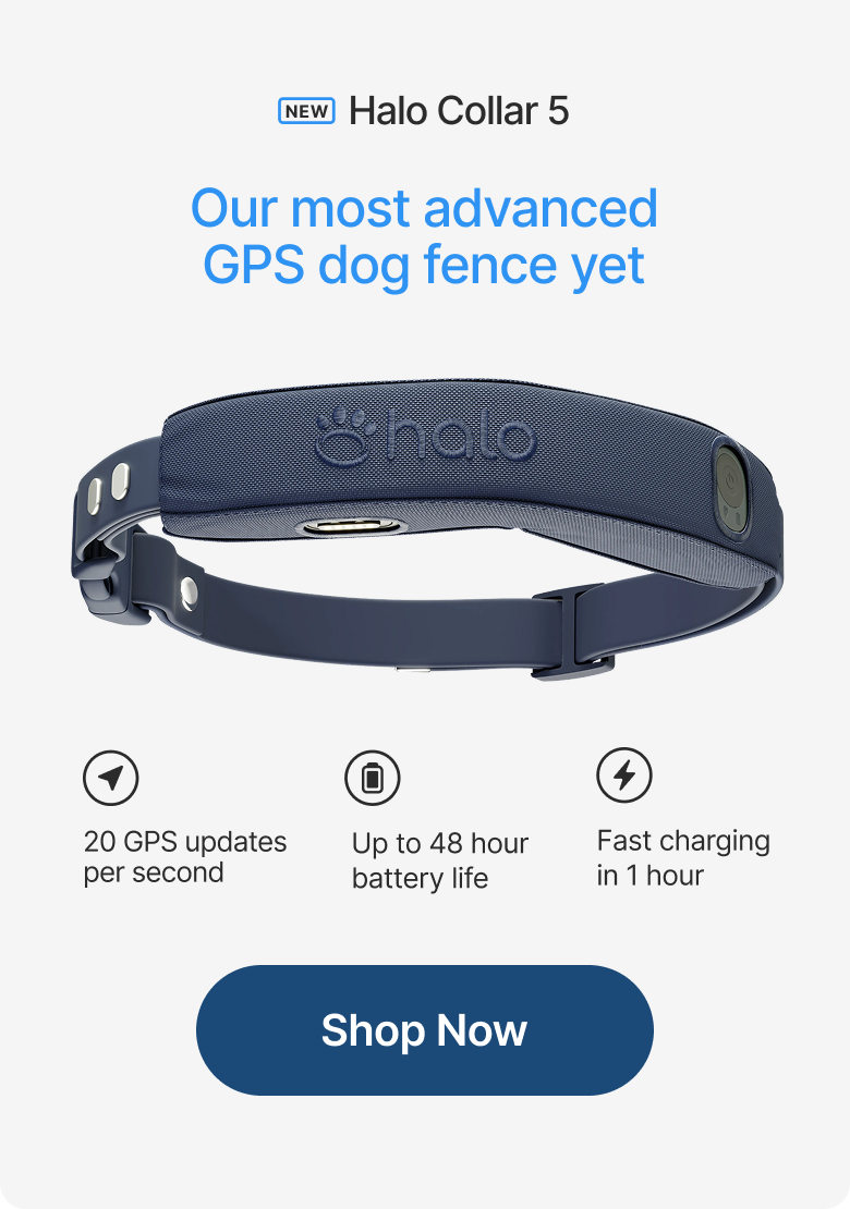 Halo Collar 5. Our most advanced GPS dog fence yet. Shop now.