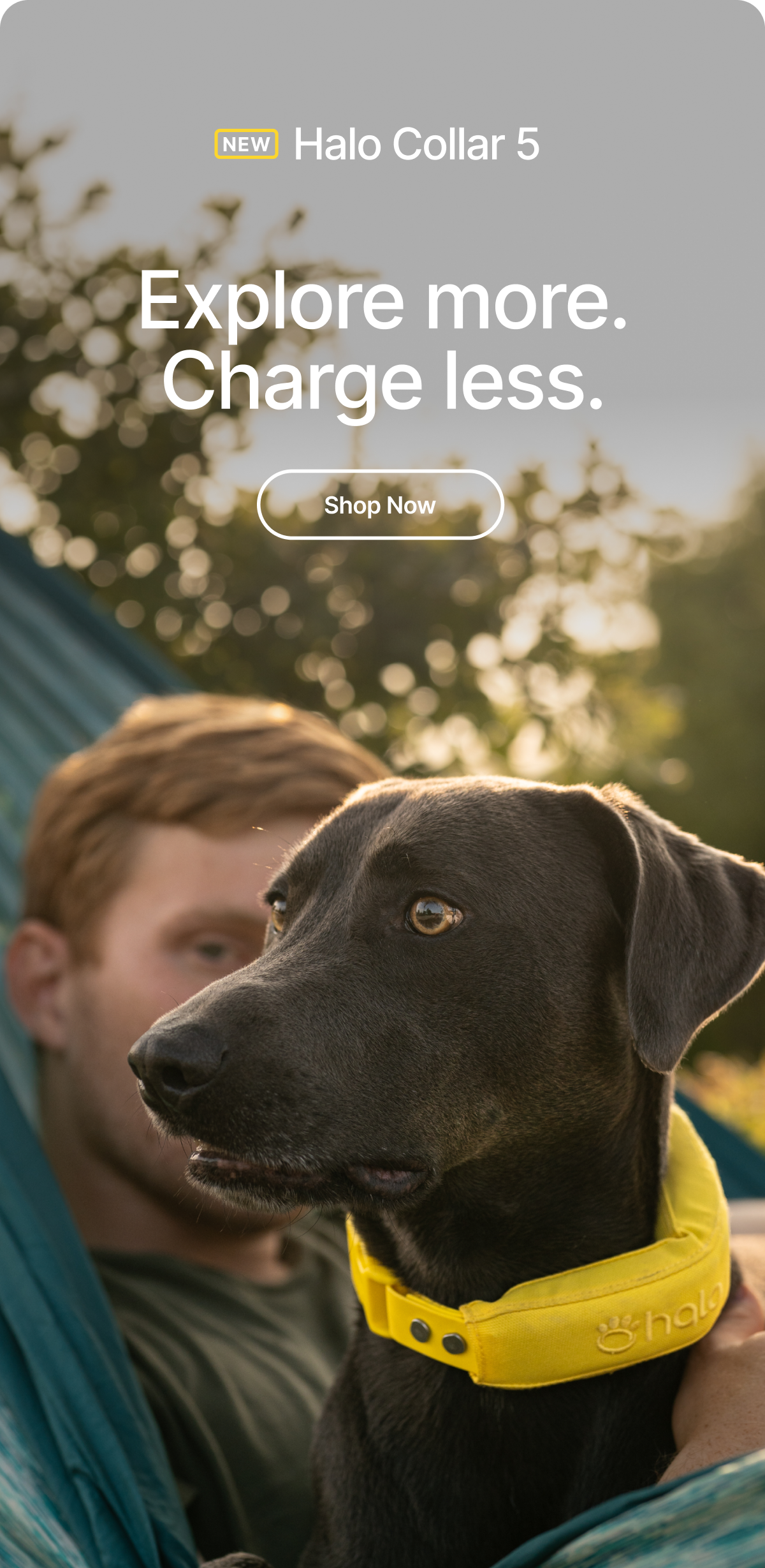 New Halo Collar 5: 48-hour battery life. Get up to 48 hours of continuous tracking with a one-hour fast charge.