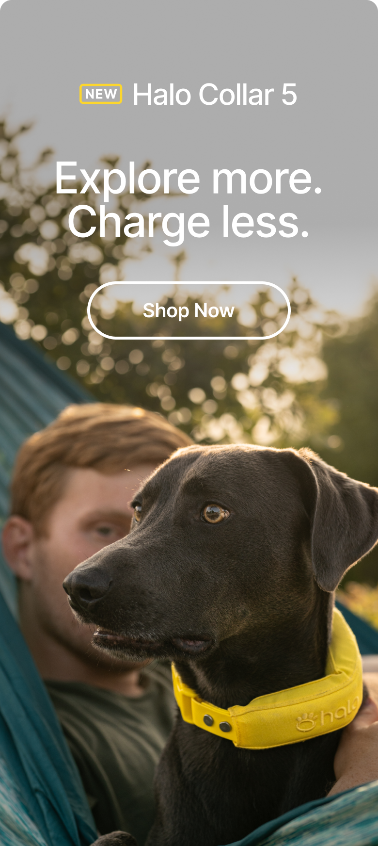 New Halo Collar 5: 48-hour battery life. Get up to 48 hours of continuous tracking with a one-hour fast charge.