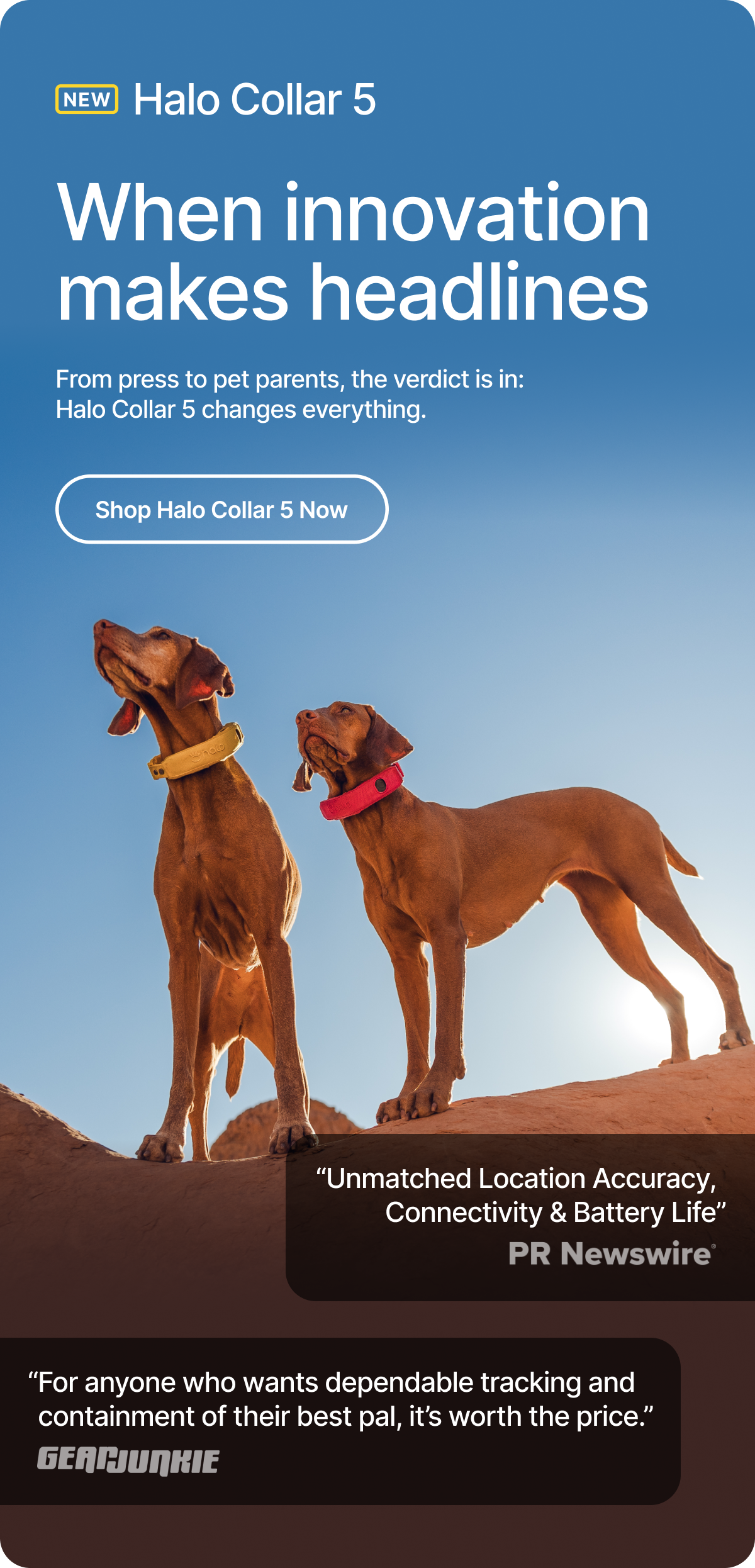 See why everyone’s talking about Halo Collar 5. From press to pet parents, the verdict is in: Halo Collar 5 changes everything. 