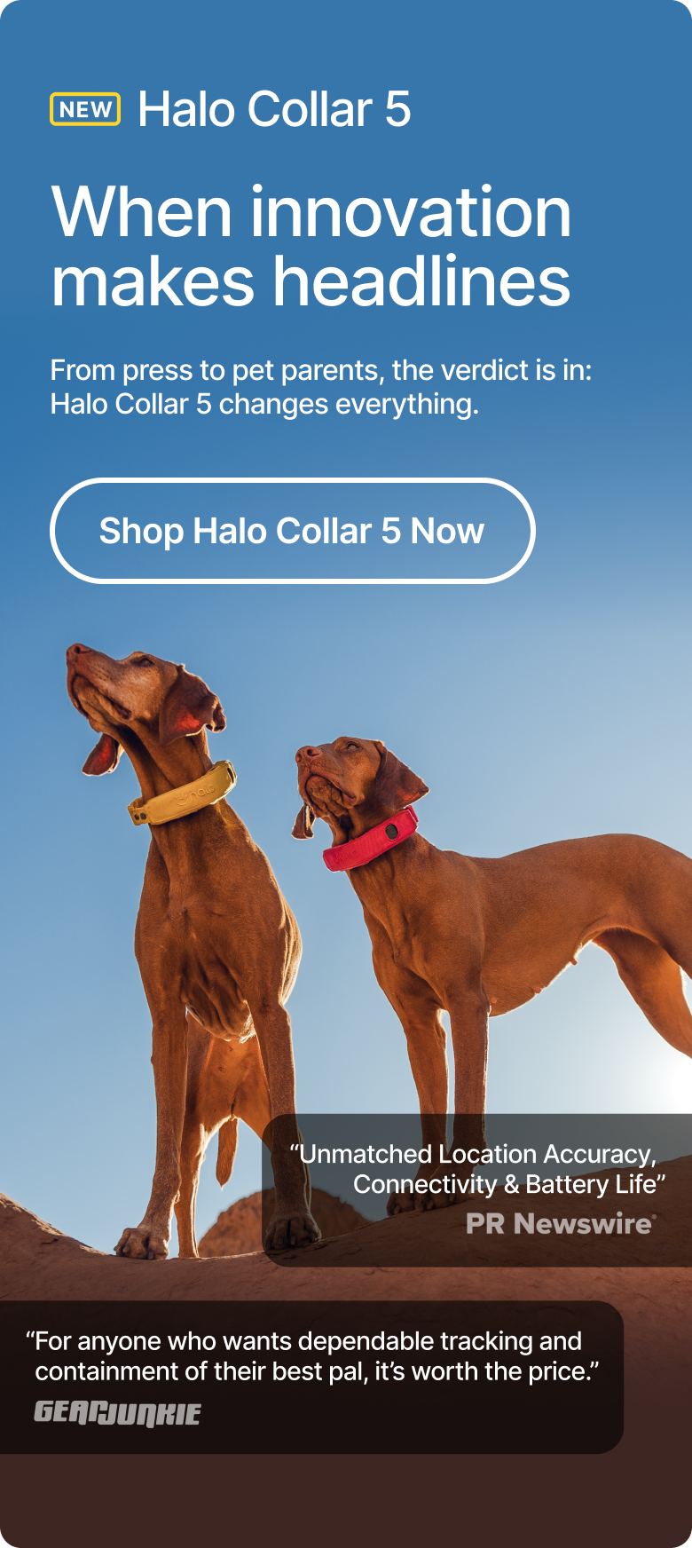 See why everyone’s talking about Halo Collar 5. From press to pet parents, the verdict is in: Halo Collar 5 changes everything. 