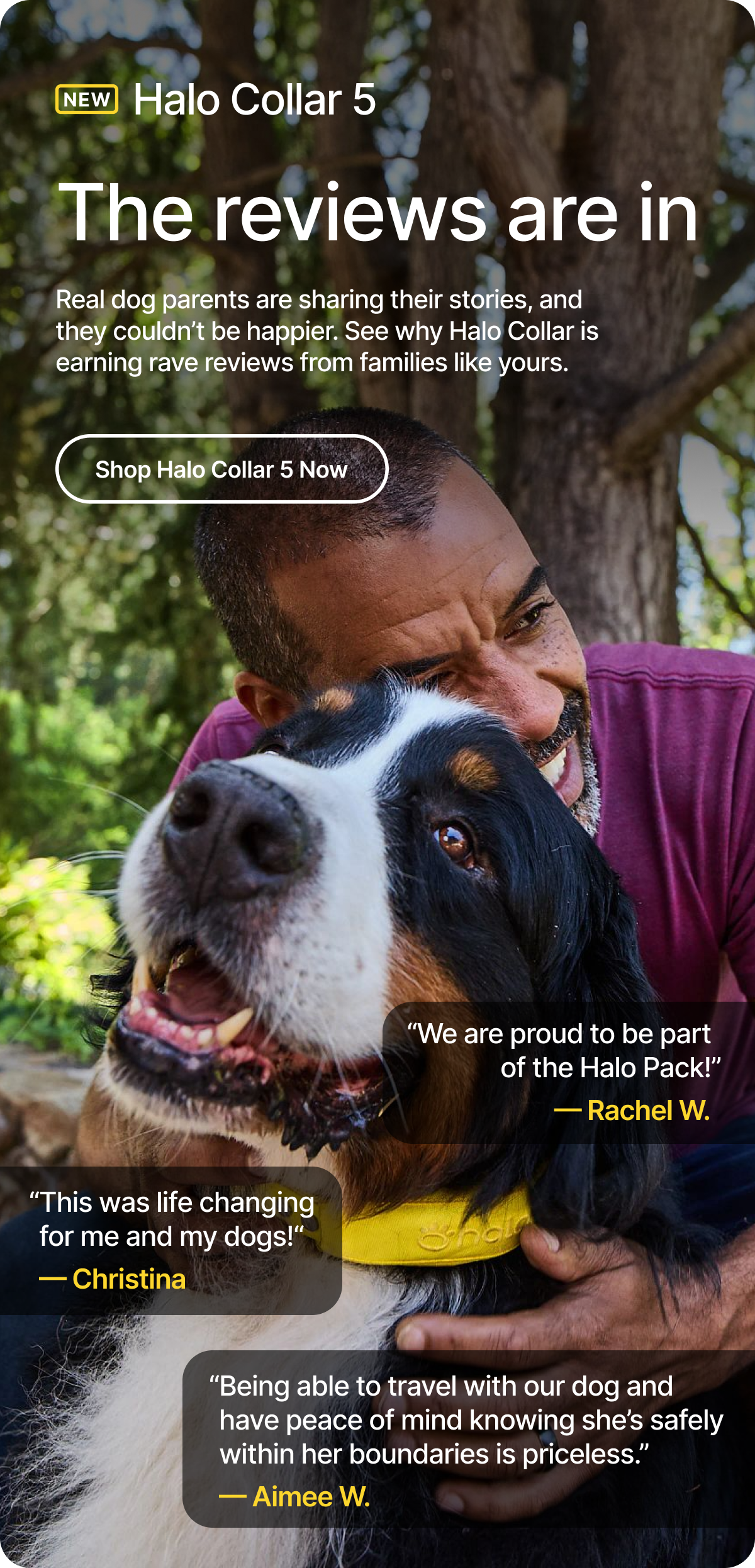 Hear from Halo Collar customers. Real dog parents are sharing their stories, and they couldn’t be happier. See why Halo Collar is earning rave reviews from families like yours.