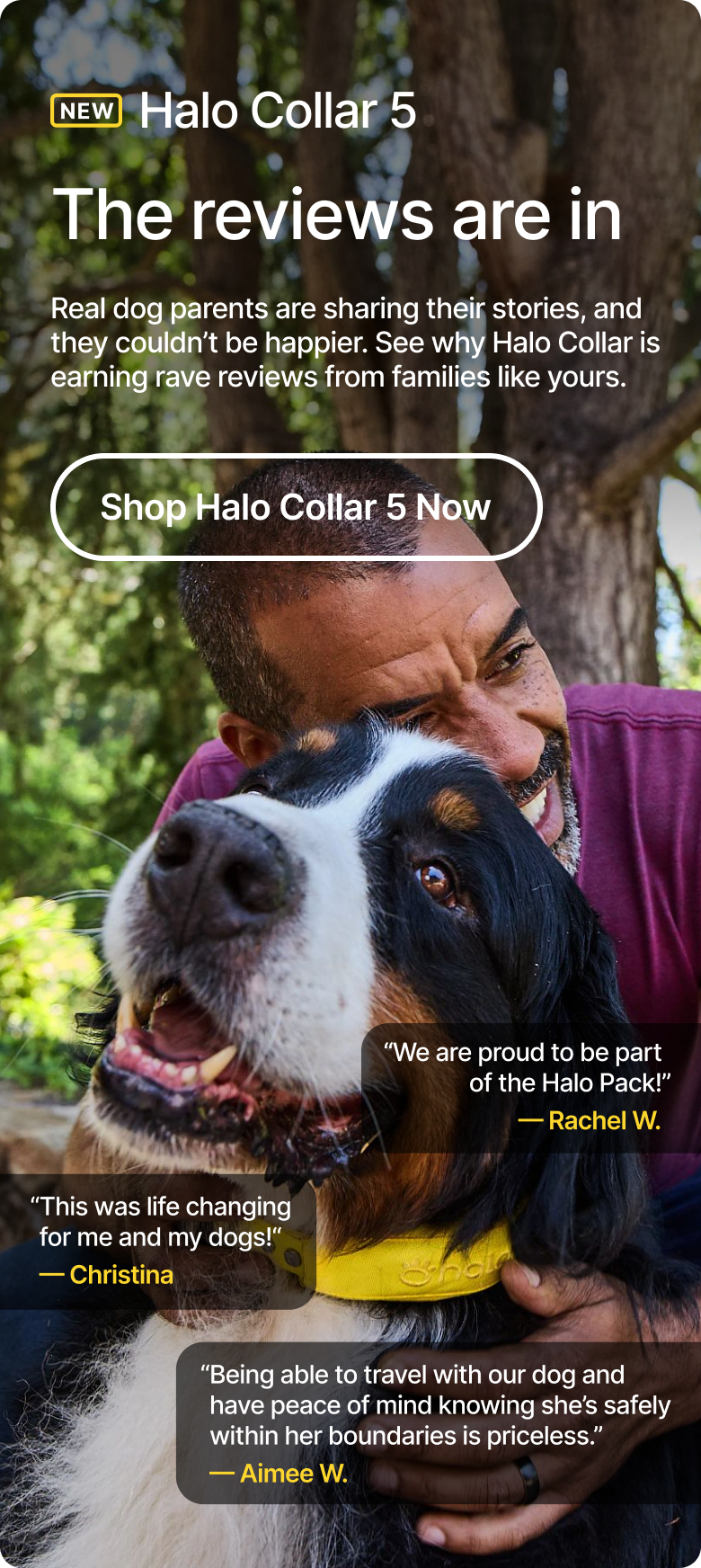 Hear from Halo Collar customers. Real dog parents are sharing their stories, and they couldn’t be happier. See why Halo Collar is earning rave reviews from families like yours.