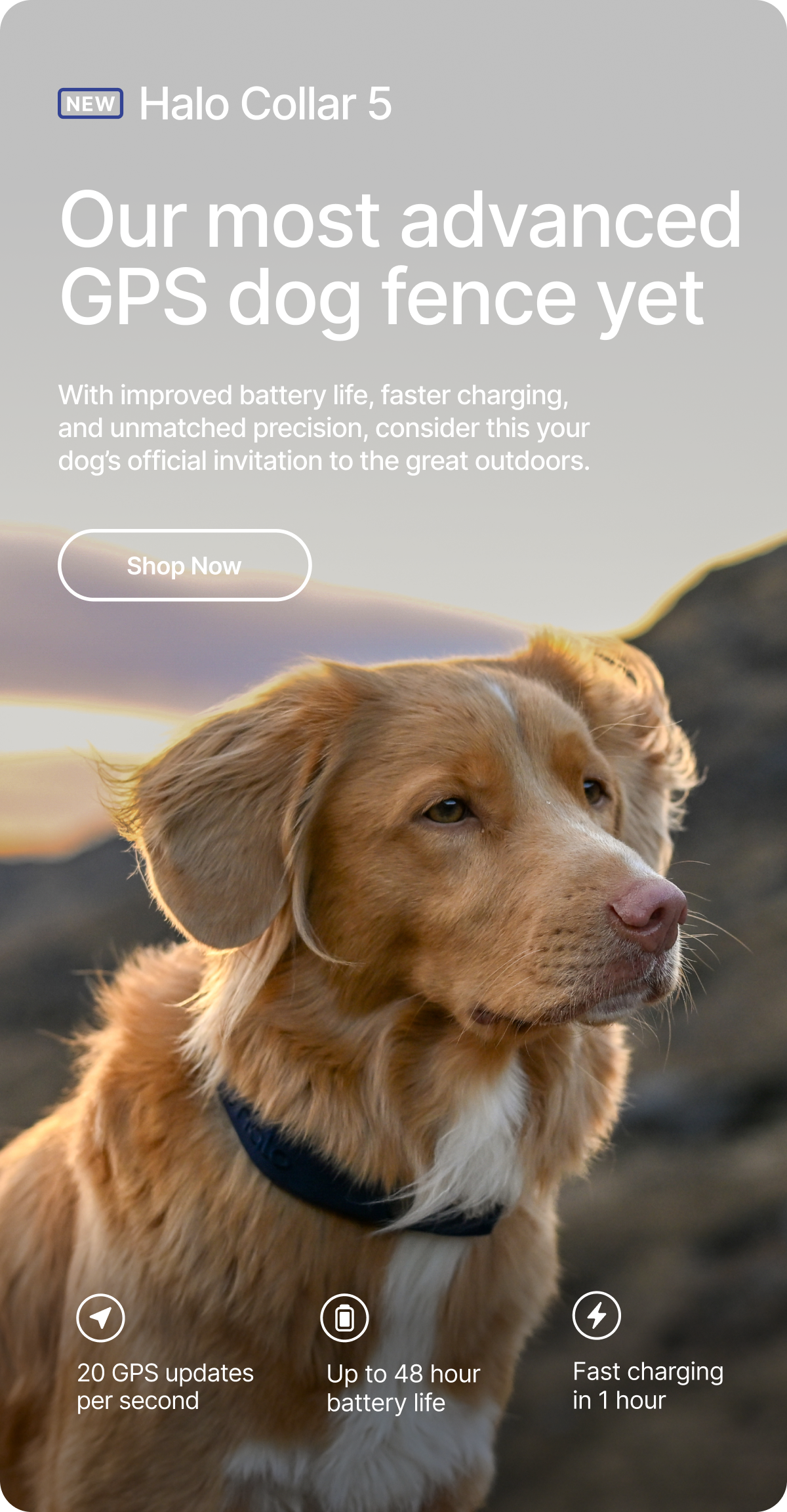Halo Collar 5: precision, power, and peace of mind. With improved battery life, faster charging, and unmatched precision, consider this your dog's official invitation to the great outdoors. 