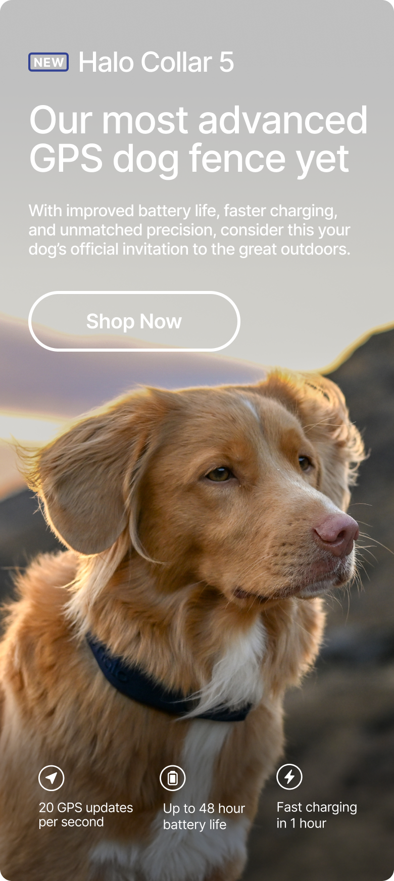 Halo Collar 5: precision, power, and peace of mind. With improved battery life, faster charging, and unmatched precision, consider this your dog's official invitation to the great outdoors. 