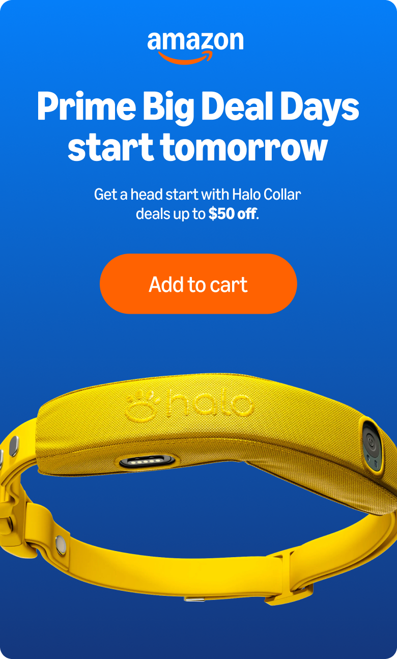 Big deals are coming: Halo Collars up to $50 off. Amazon Prime Big Deals Days starts tomorrow with discounts on all Halo Collars. 
