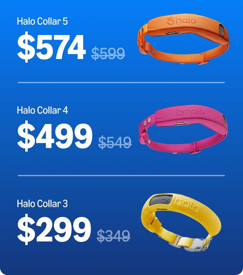 Discounts are here! Save big on ALL Halo Collars. Shop now for Amazon Big Deals Days and save. Today and tomorrow only.