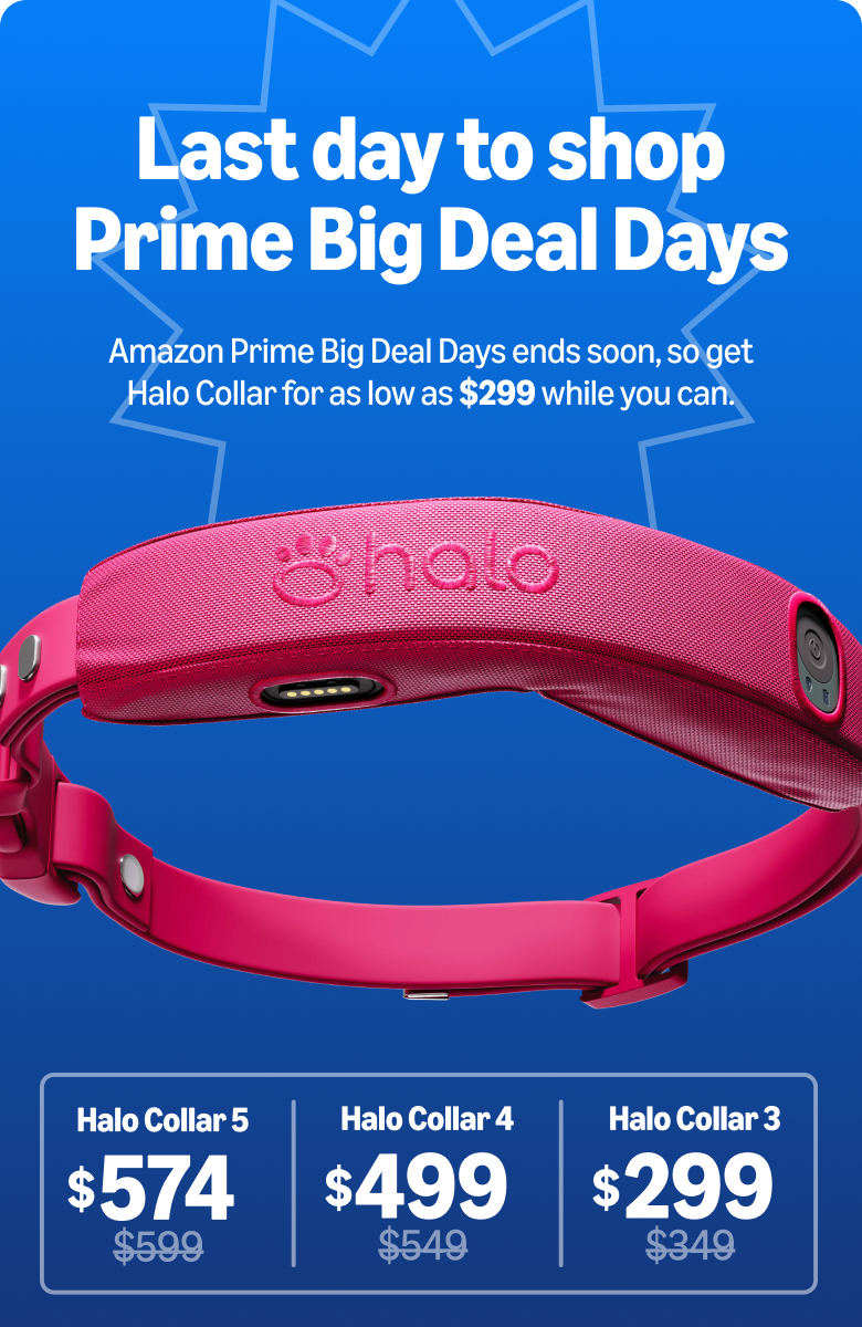Ends soon: See Halo Collar deals inside. Amazon Prime Big Deal Days ends soon. Get discounts on all Halo Collars while you still can. 
