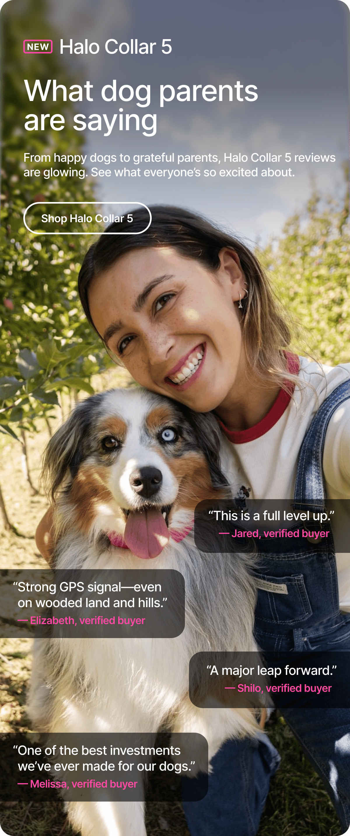 Why dog parents are switching to Halo Collar 5. From happy dogs to grateful parents, Halo Collar 5 reviews are glowing. See what everyone’s so excited about.